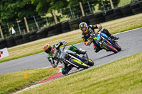 cadwell-no-limits-trackday;cadwell-park;cadwell-park-photographs;cadwell-trackday-photographs;enduro-digital-images;event-digital-images;eventdigitalimages;no-limits-trackdays;peter-wileman-photography;racing-digital-images;trackday-digital-images;trackday-photos